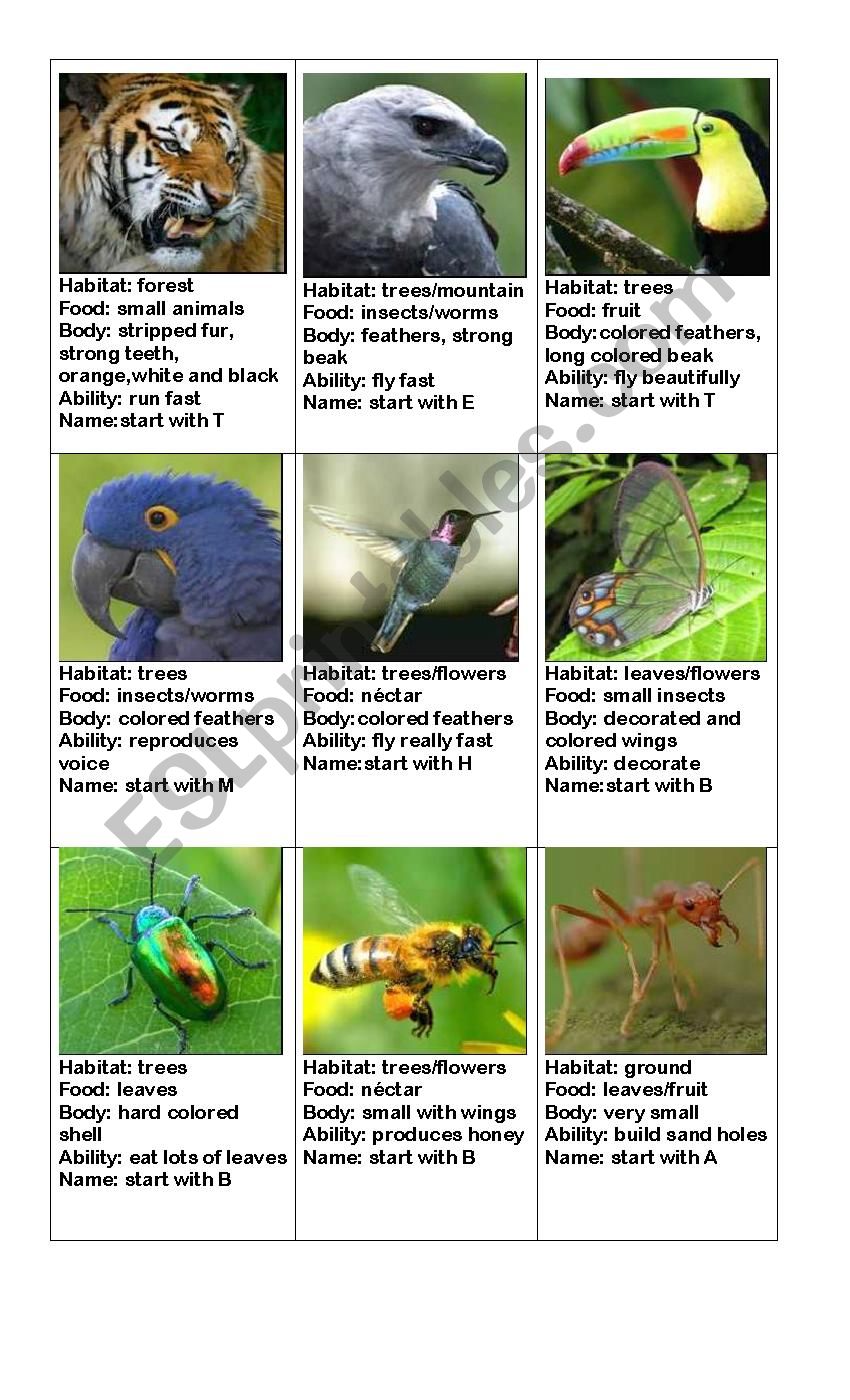 animals card game part 2 worksheet