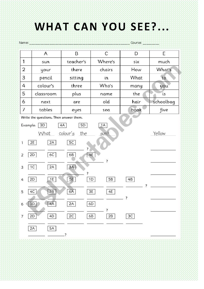 WHAT CAN YOU SEE? worksheet