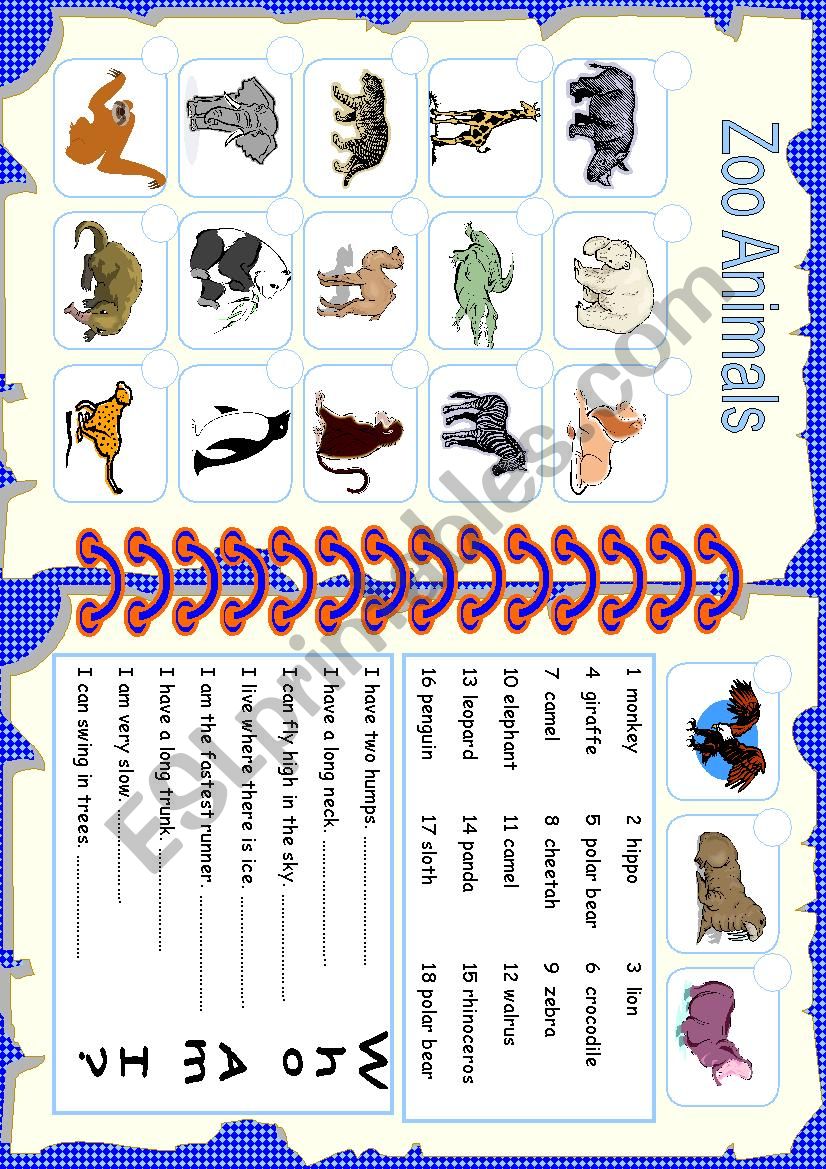 Animals worksheet