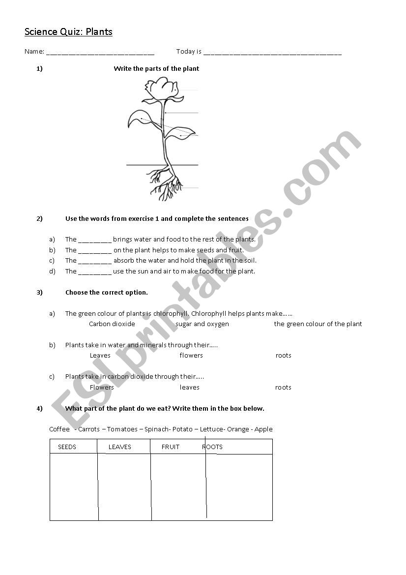 Plants worksheet