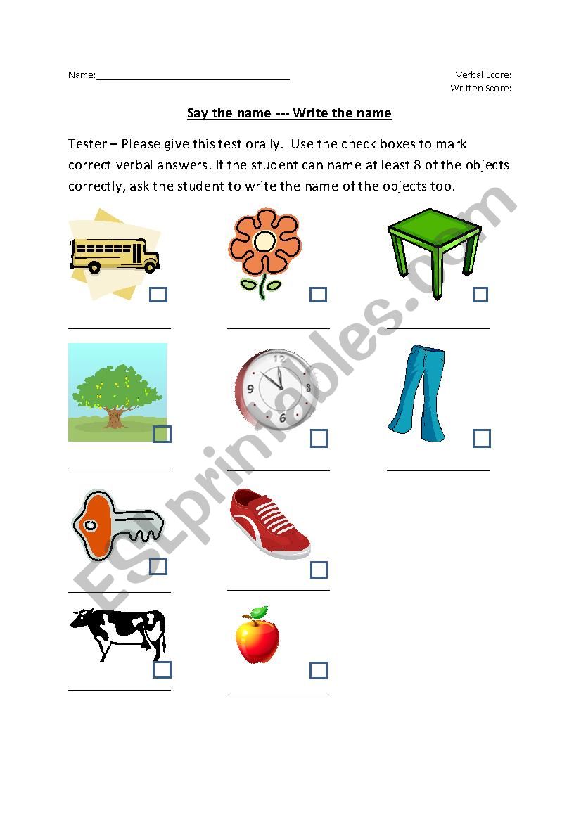 Object Assessment Test worksheet