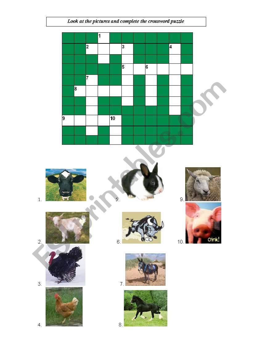 Farm Animals worksheet