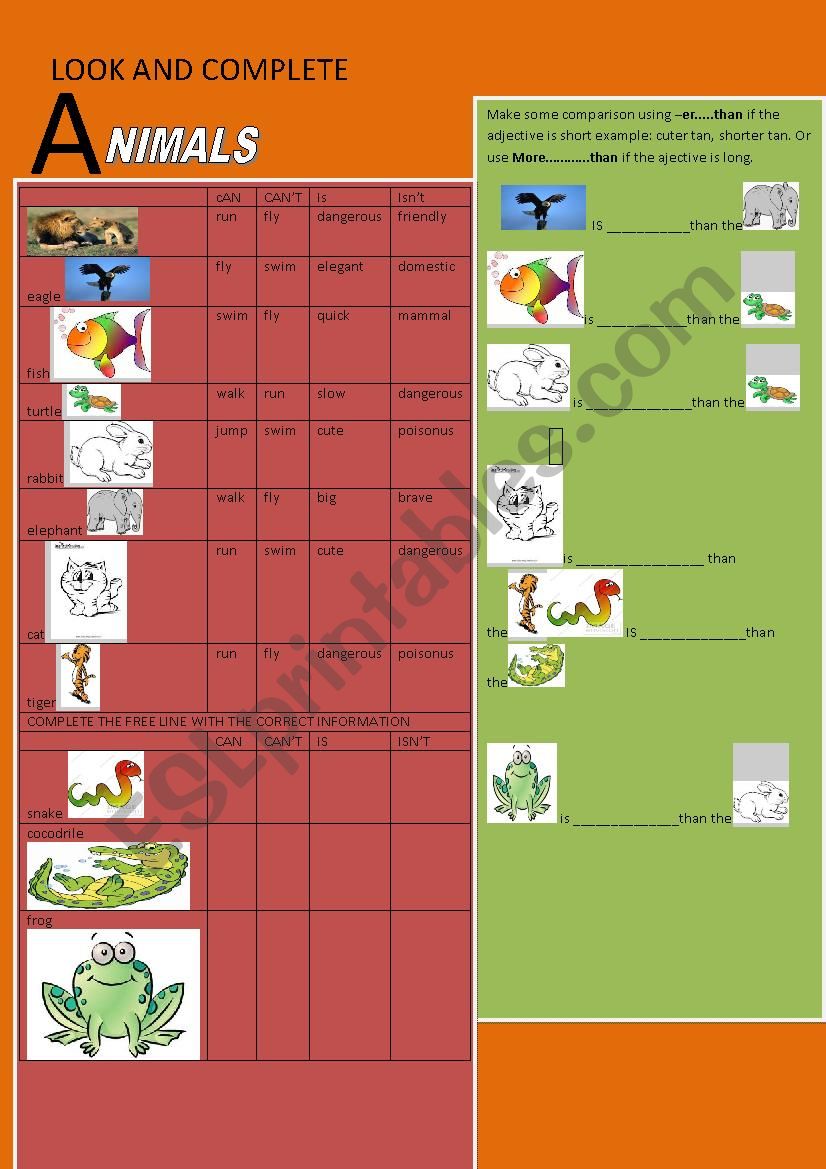 animals worksheet