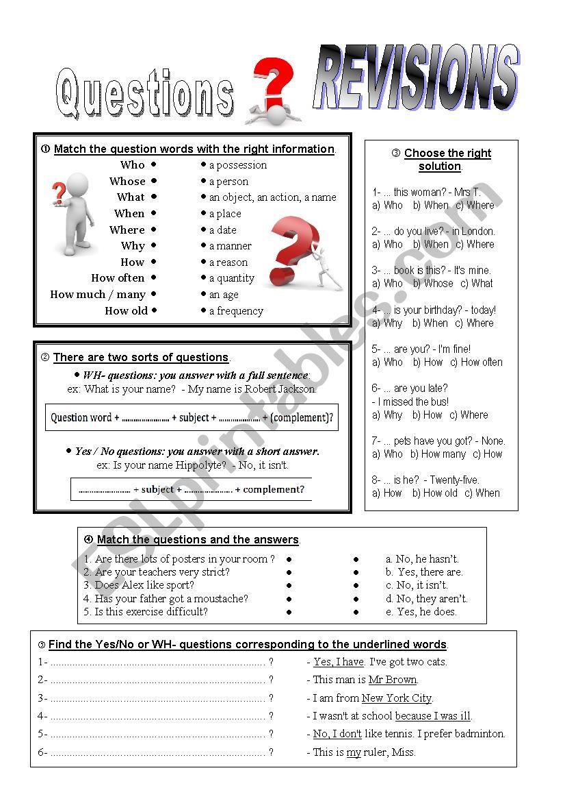 Questions Revision. worksheet