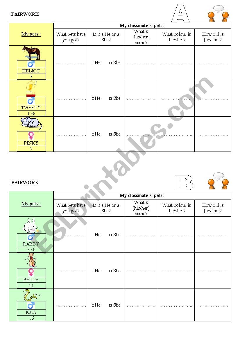 Pairwork my pets worksheet