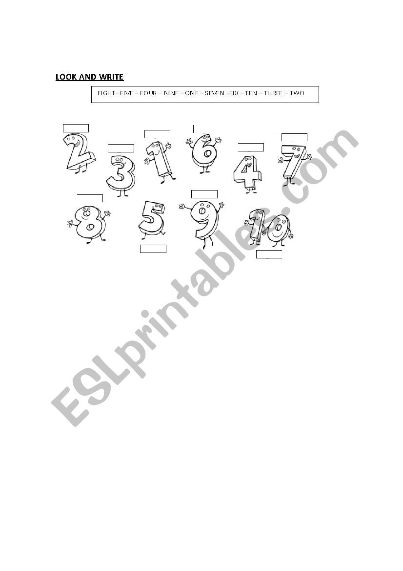 numbers worksheet