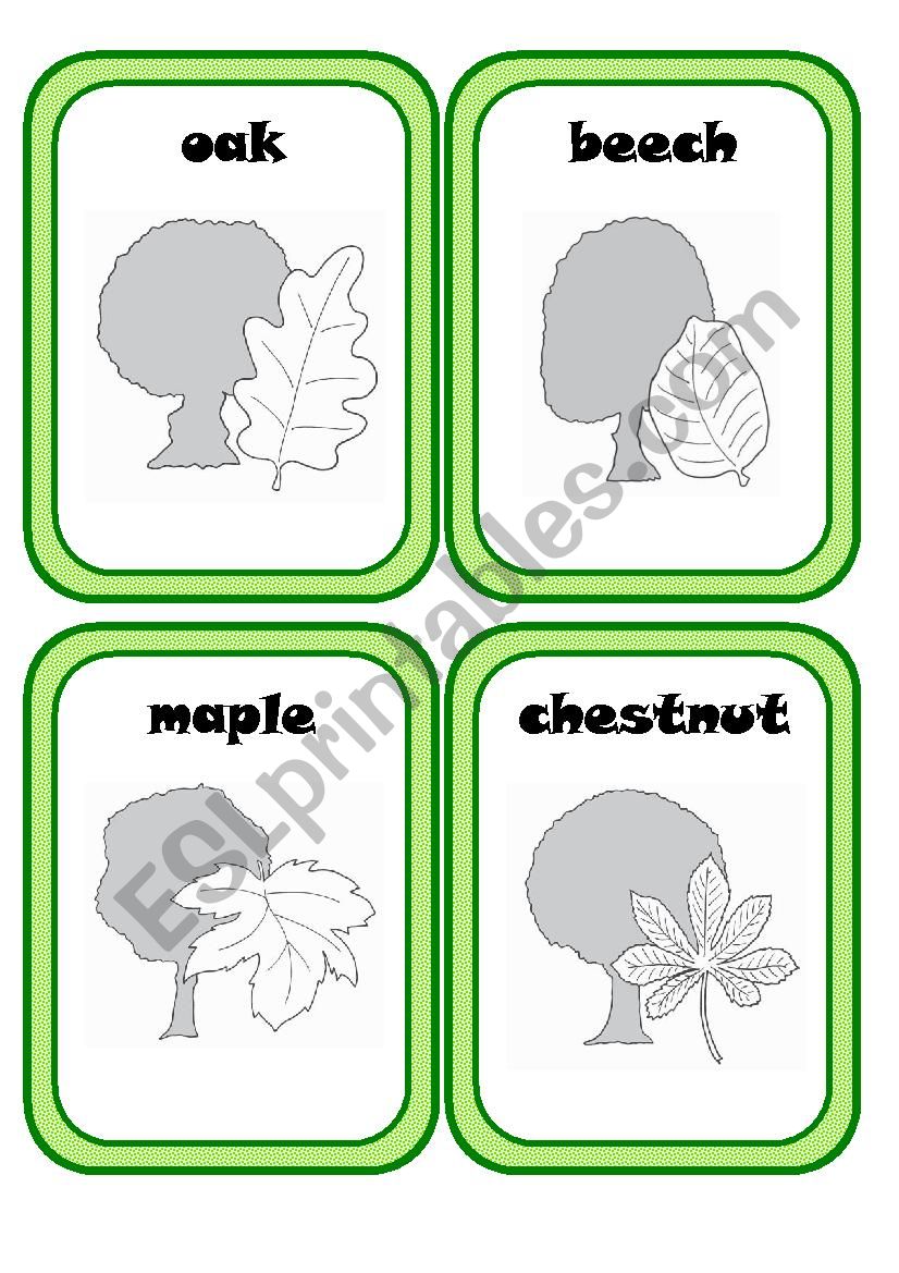 Forest Plants Part 1(3) worksheet