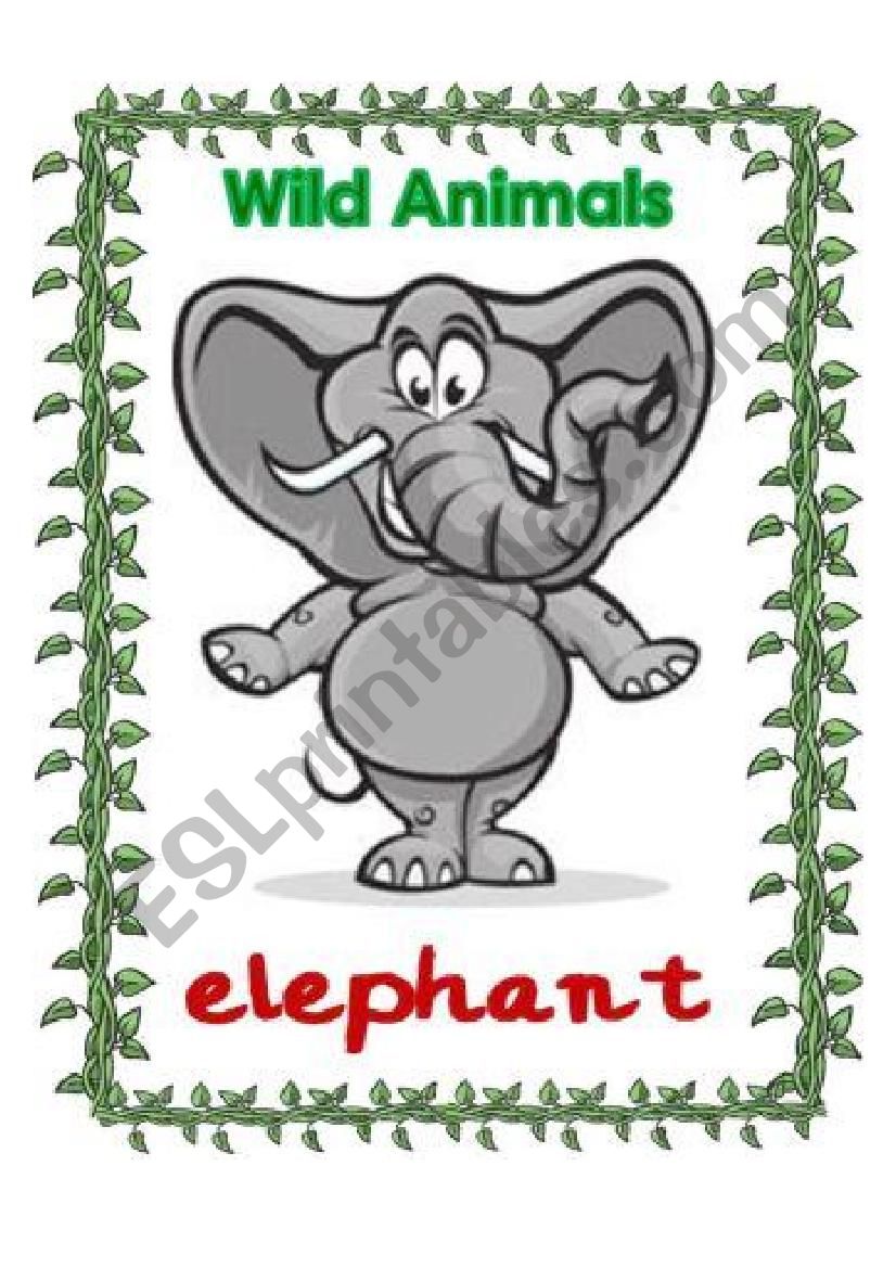 wild animals flashcards worksheet
