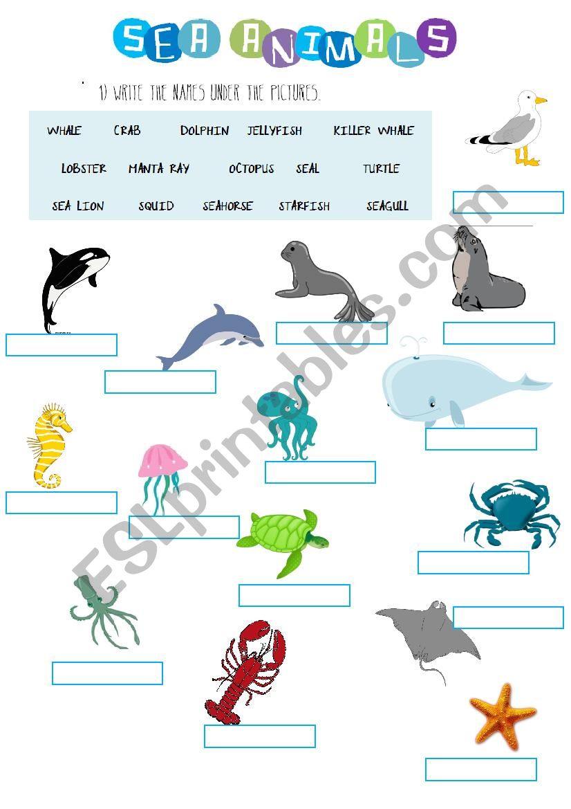 Sea Animals worksheet