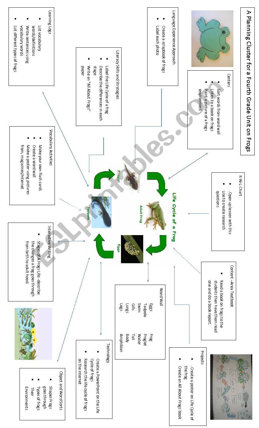 Intergrated Unit on Frogs worksheet