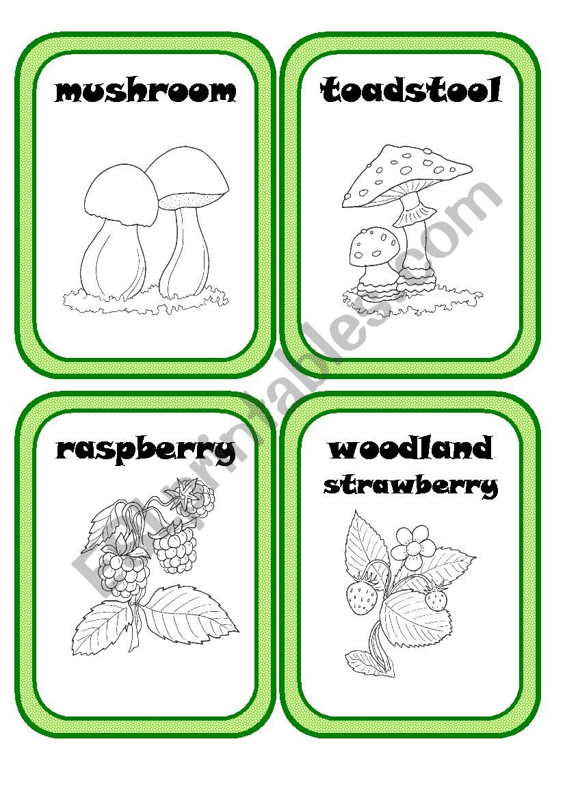 Forest Plants Part 2(3) worksheet