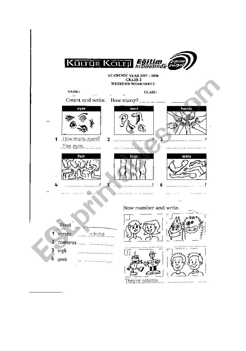 body parts worksheet