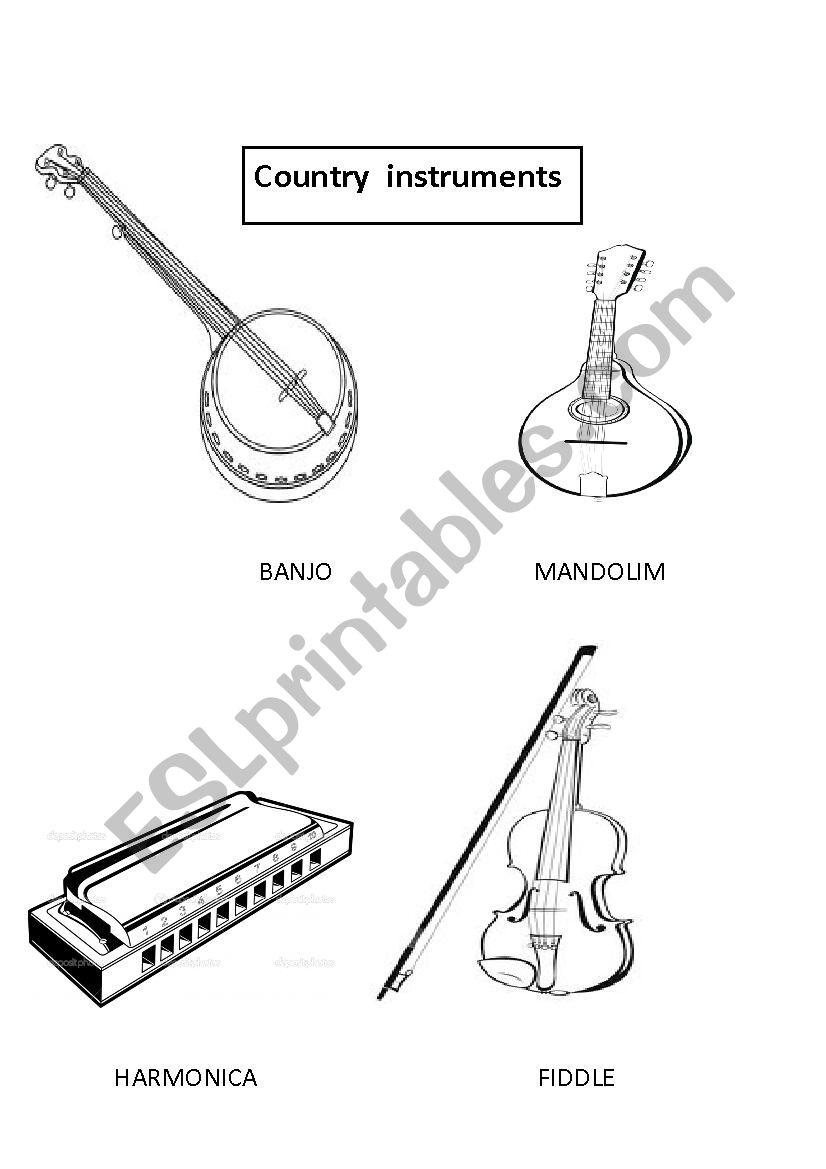 COUNTRY INSTRUMENTS worksheet