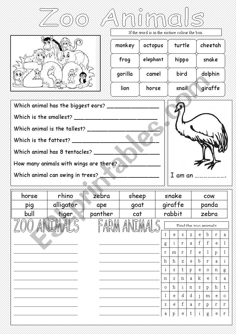 Zoo animals worksheet