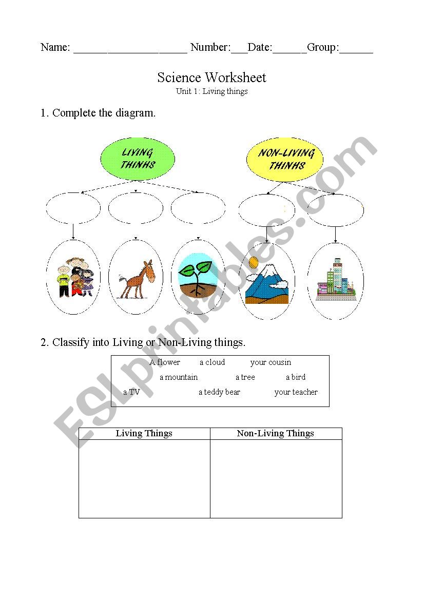 Worksheet Living things worksheet