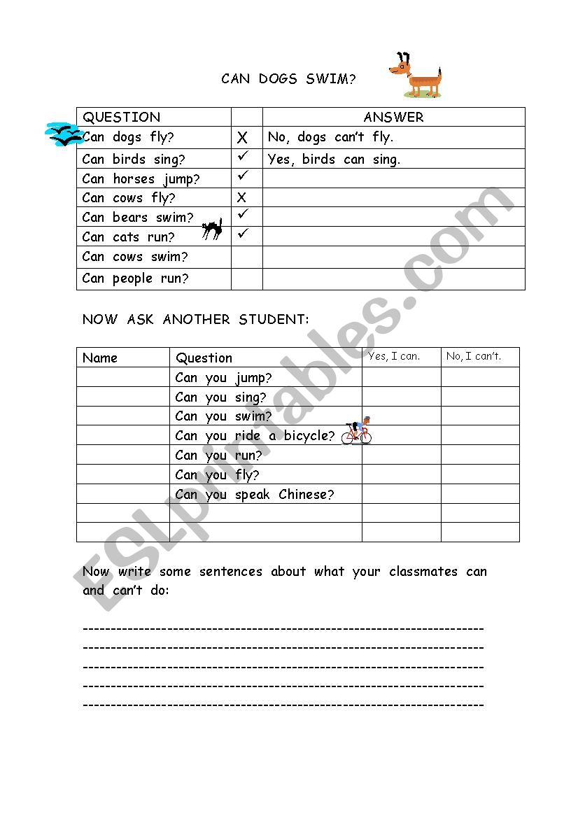 Can dogs swim? worksheet