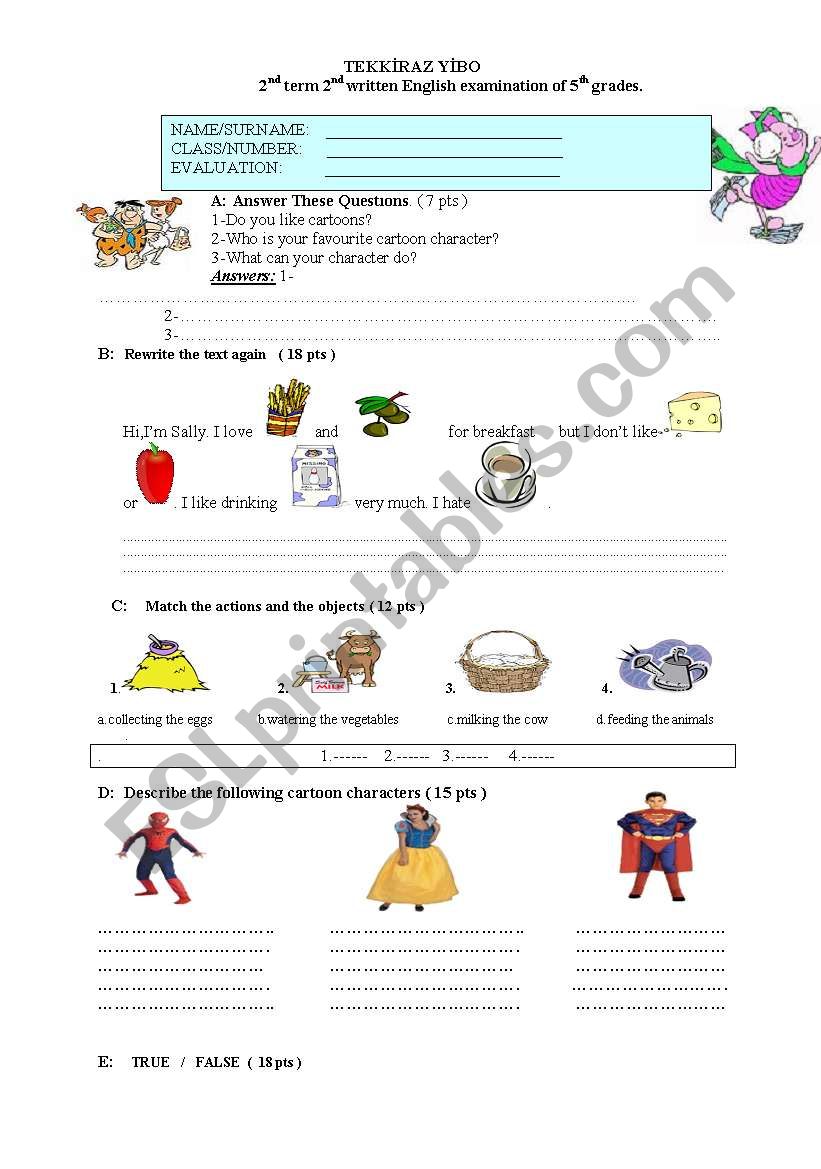 5th grade exam worksheet