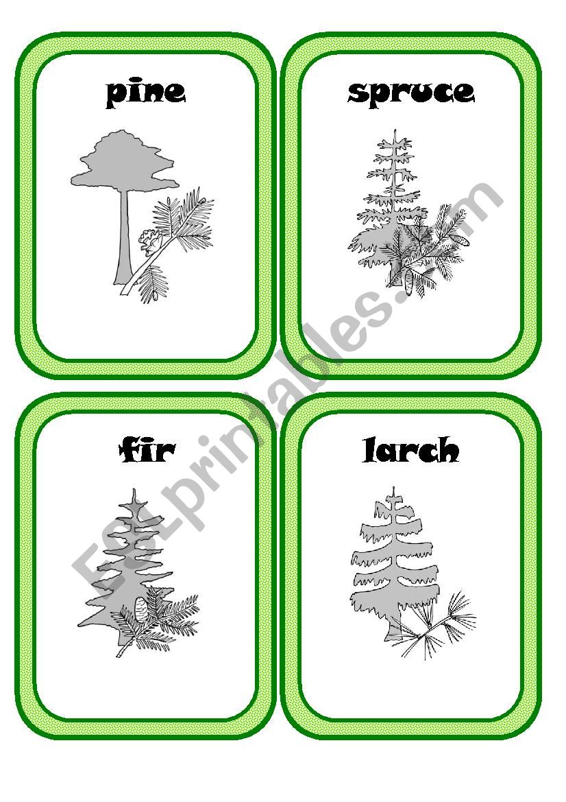 Forest Plants Part 3(3) worksheet