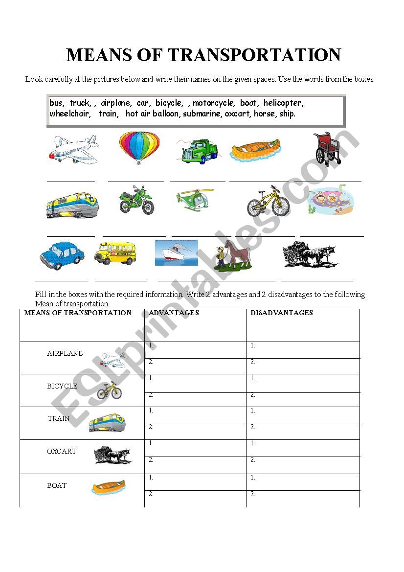 Mean of transportation worksheet