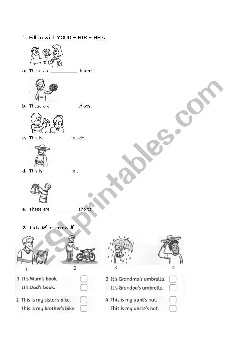 possessive adjectives worksheet