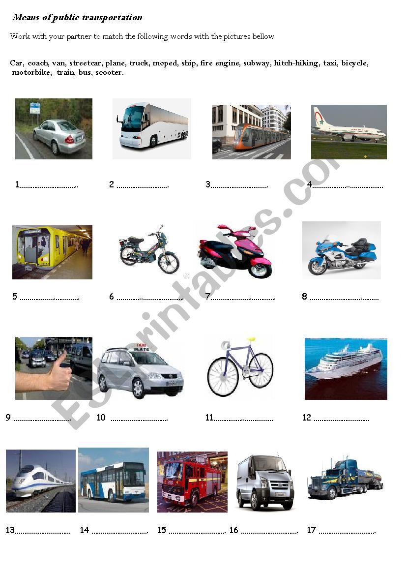 Means Of Transportation worksheet