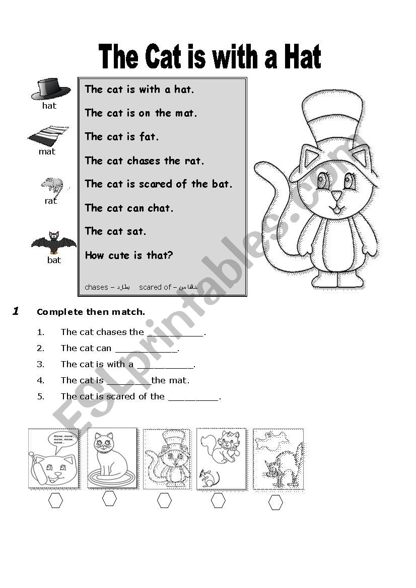 A cat is  with a hat worksheet