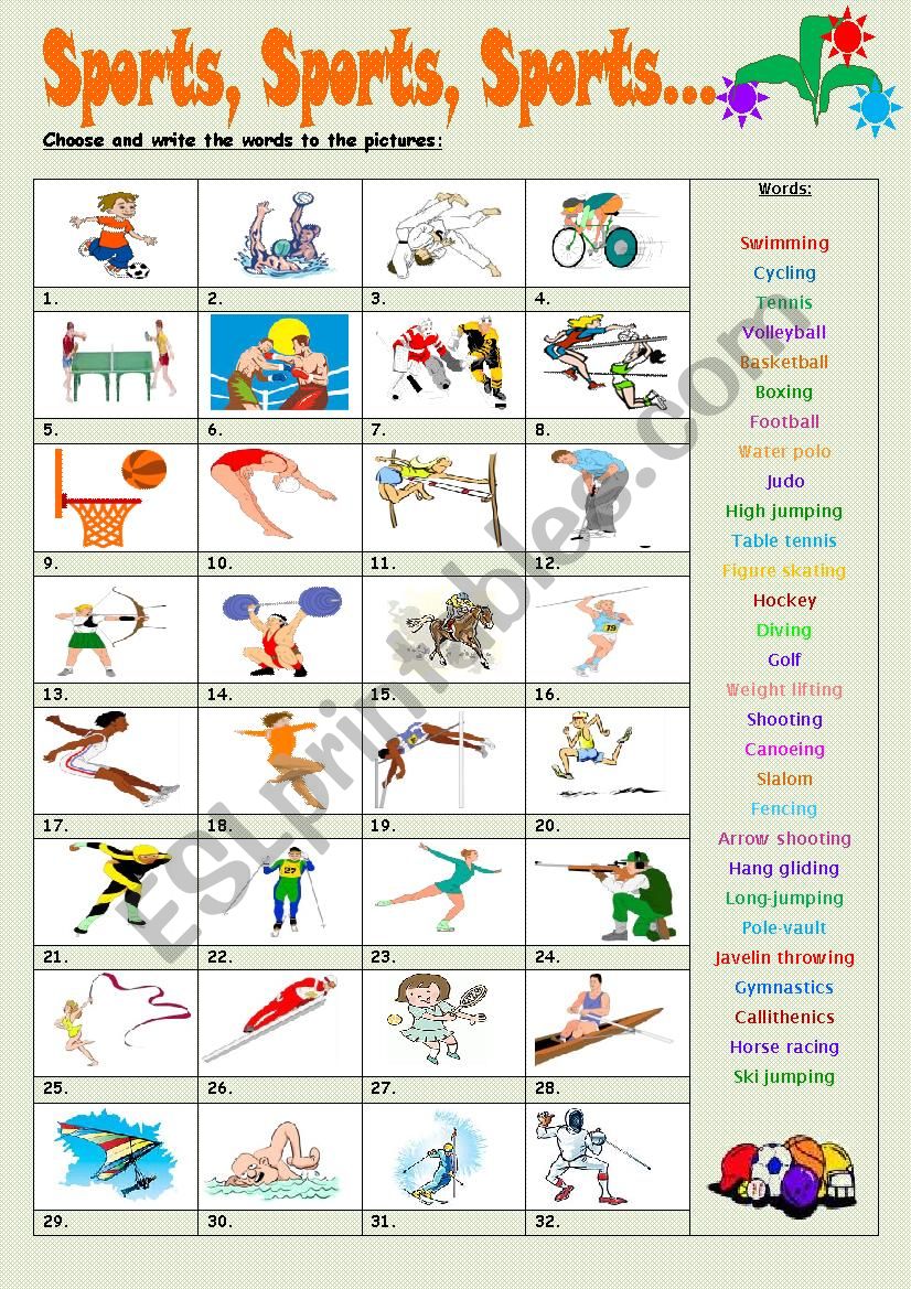 Sports,Sports,Sports worksheet