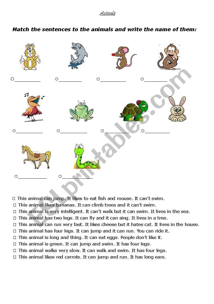 animals worksheet