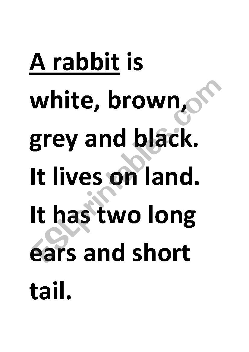 6 animalsÂ´information worksheet