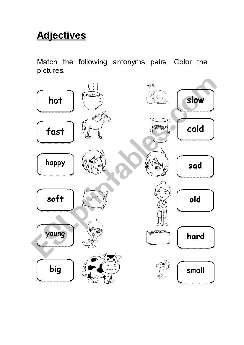 Antonyms worksheet