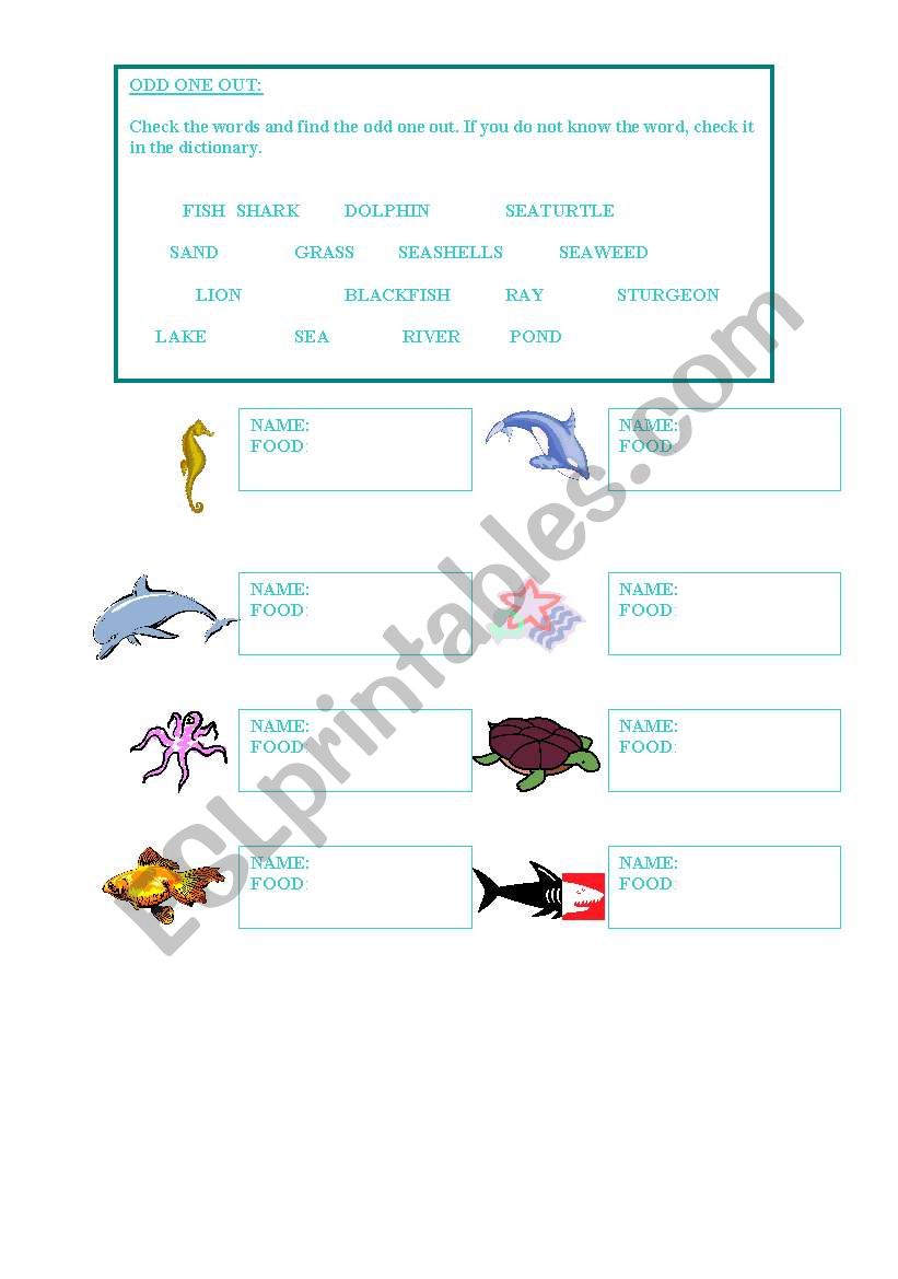 Sea Vocabulary worksheet