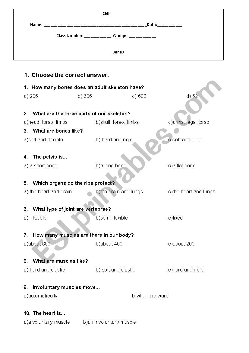 Science Bones Quiz worksheet