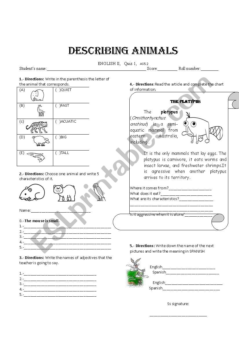 describing animals worksheet