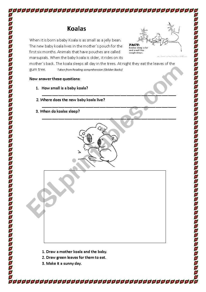 Koalas worksheet