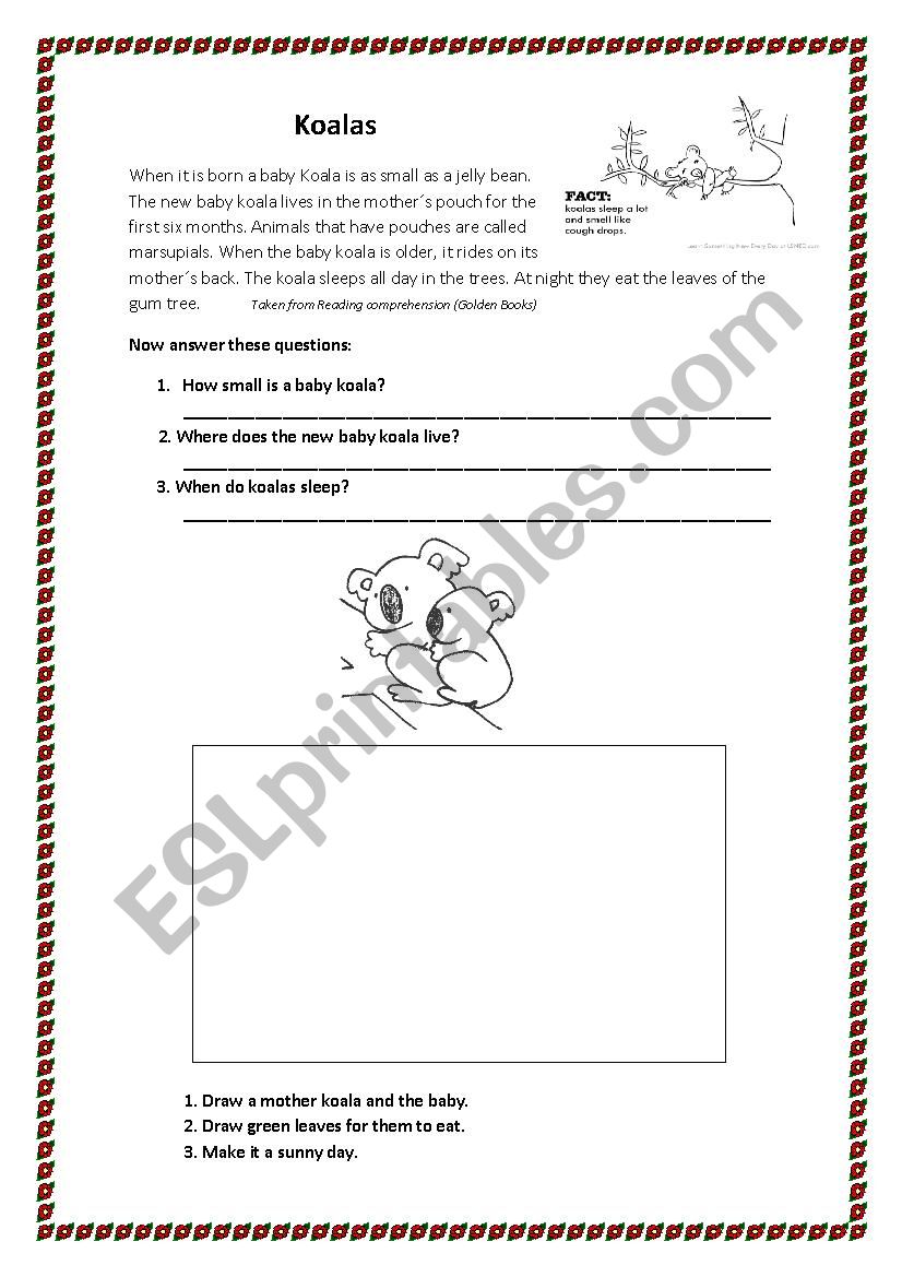 Koalas worksheet