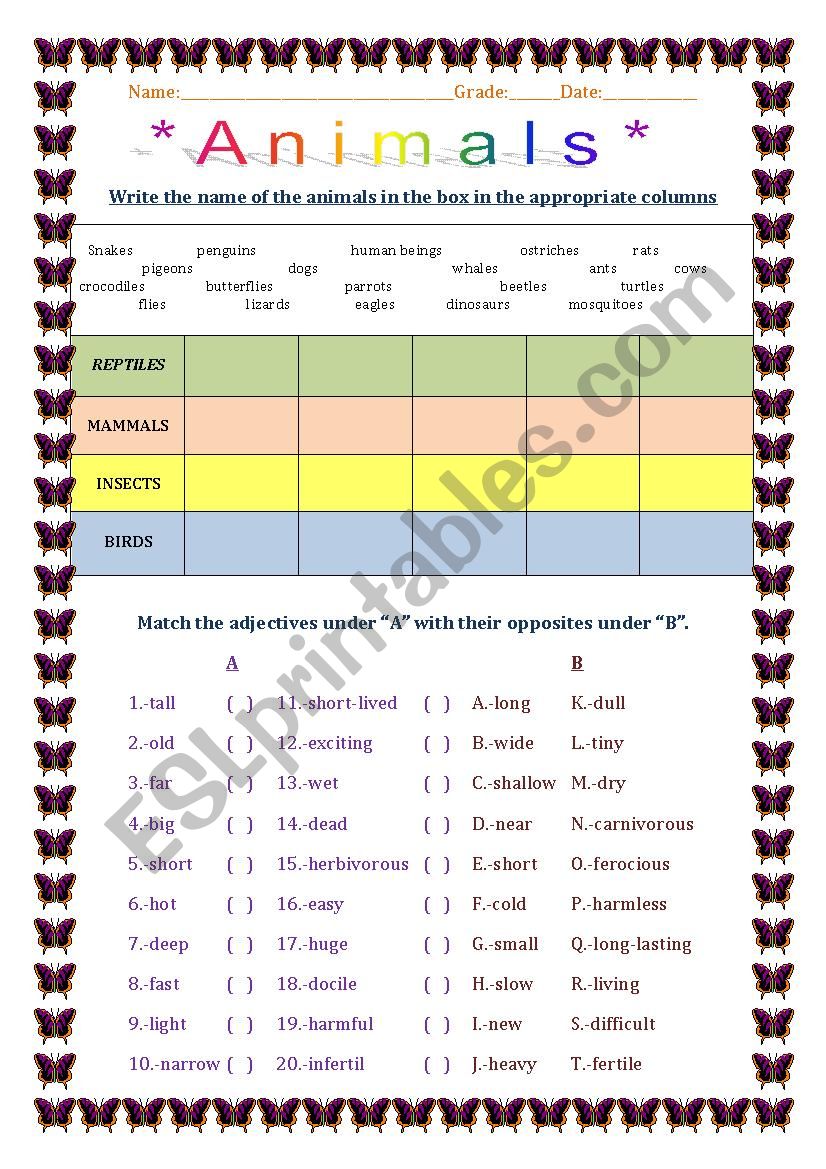 Animals and Adjectives worksheet