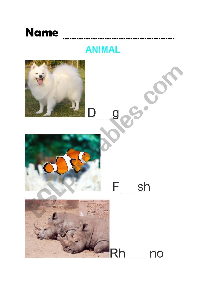 Animal worksheet