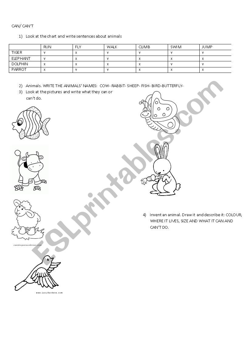 can+ animals worksheet