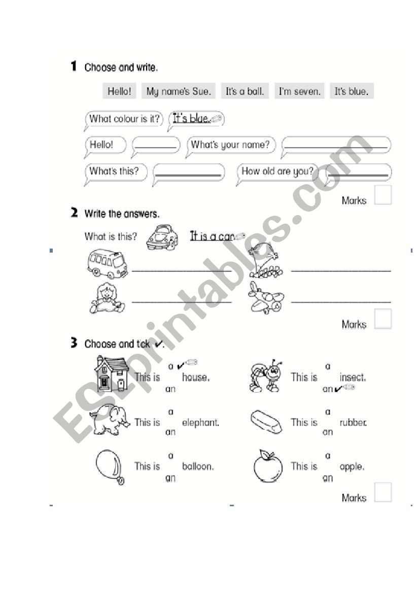 Match and Write worksheet