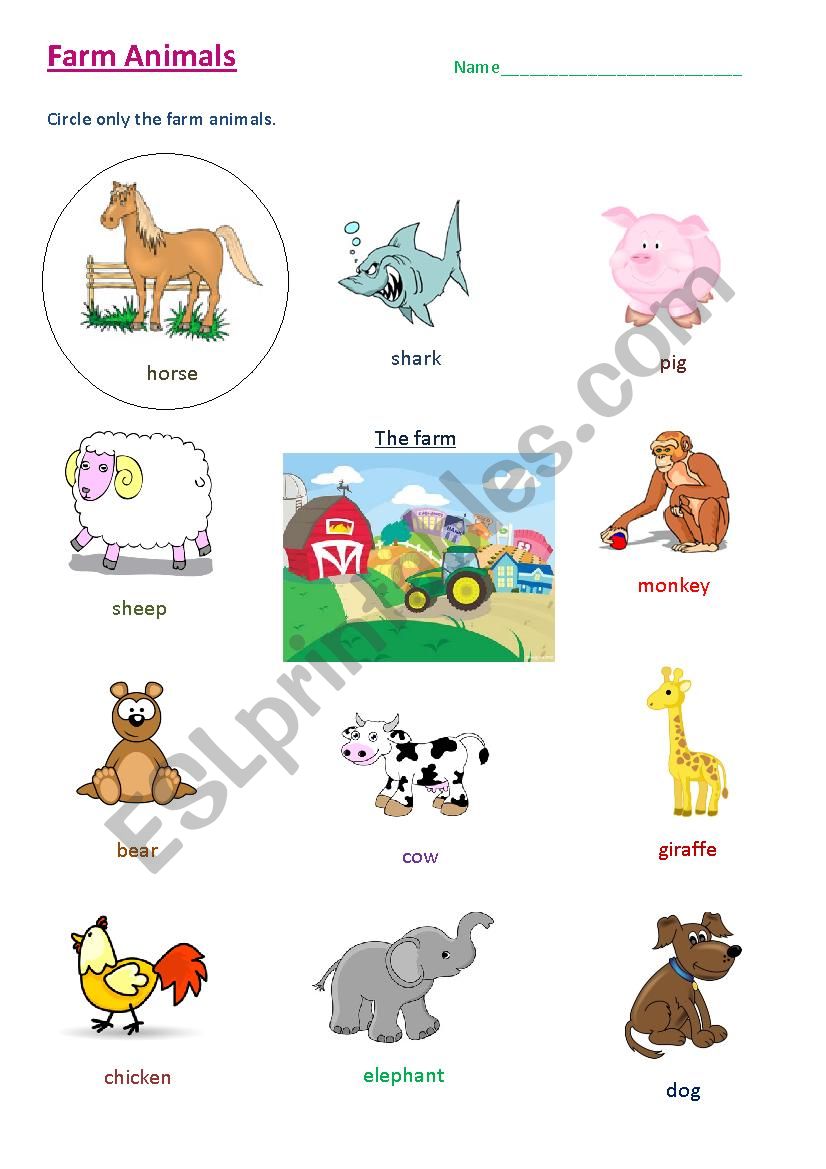 Farm Animals - Young Learners worksheet