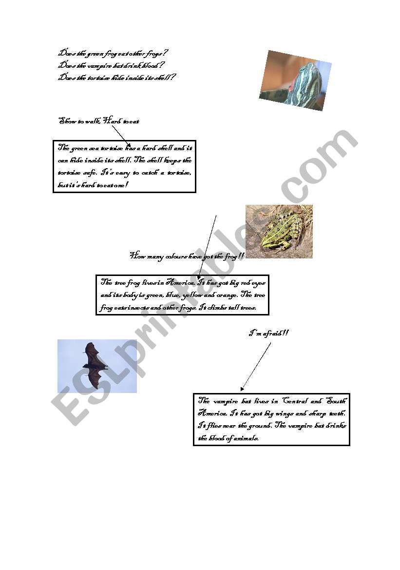 READING ABOUT ANIMALS. worksheet