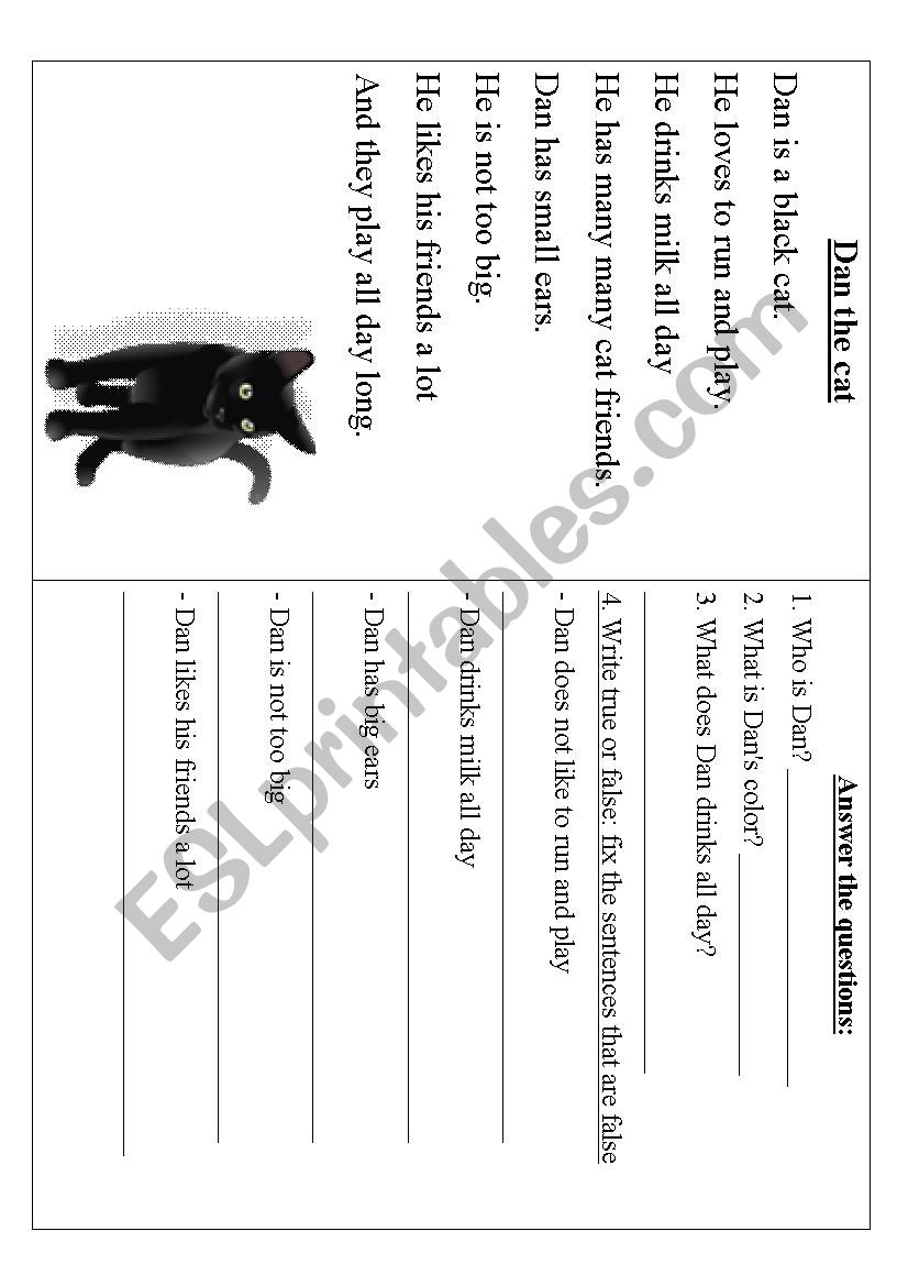 Dan the cat- A short story worksheet