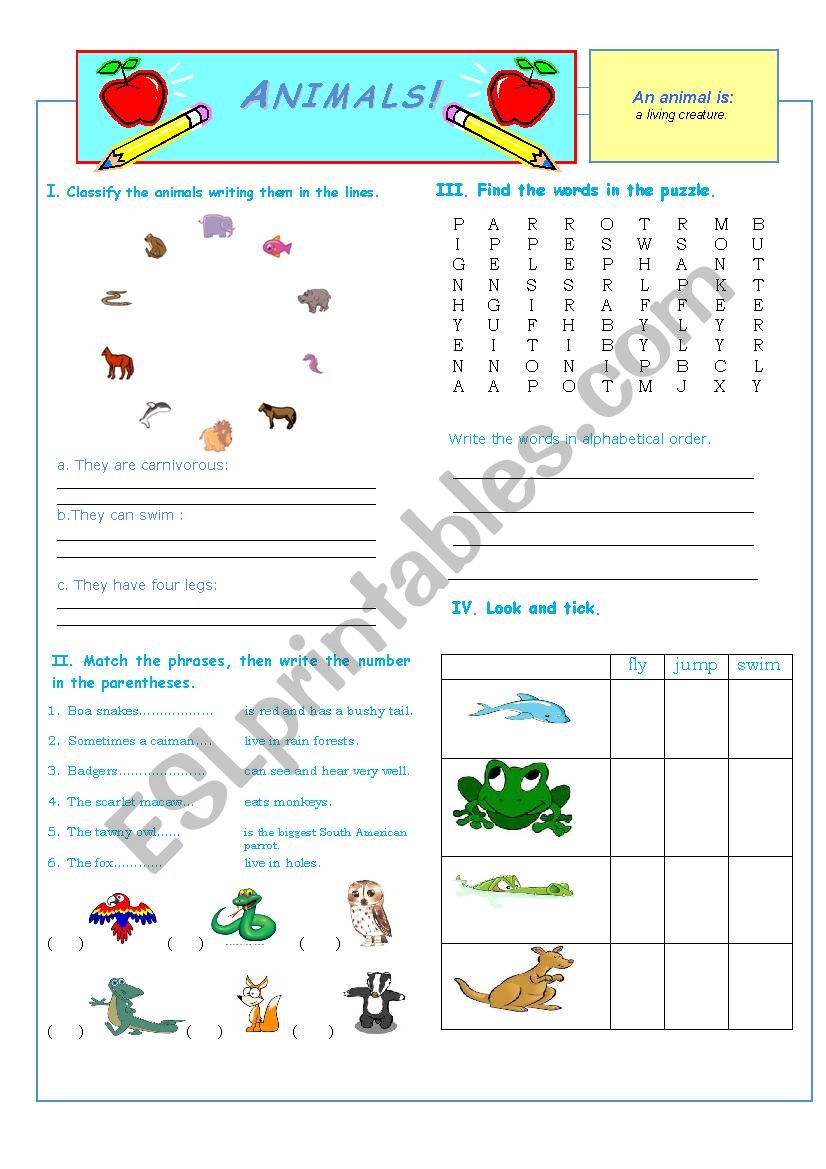 Animals worksheet