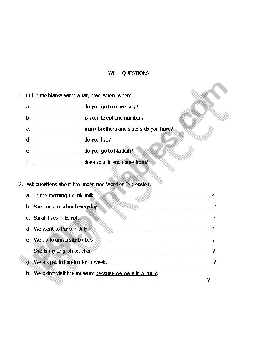 WH questions worksheet worksheet