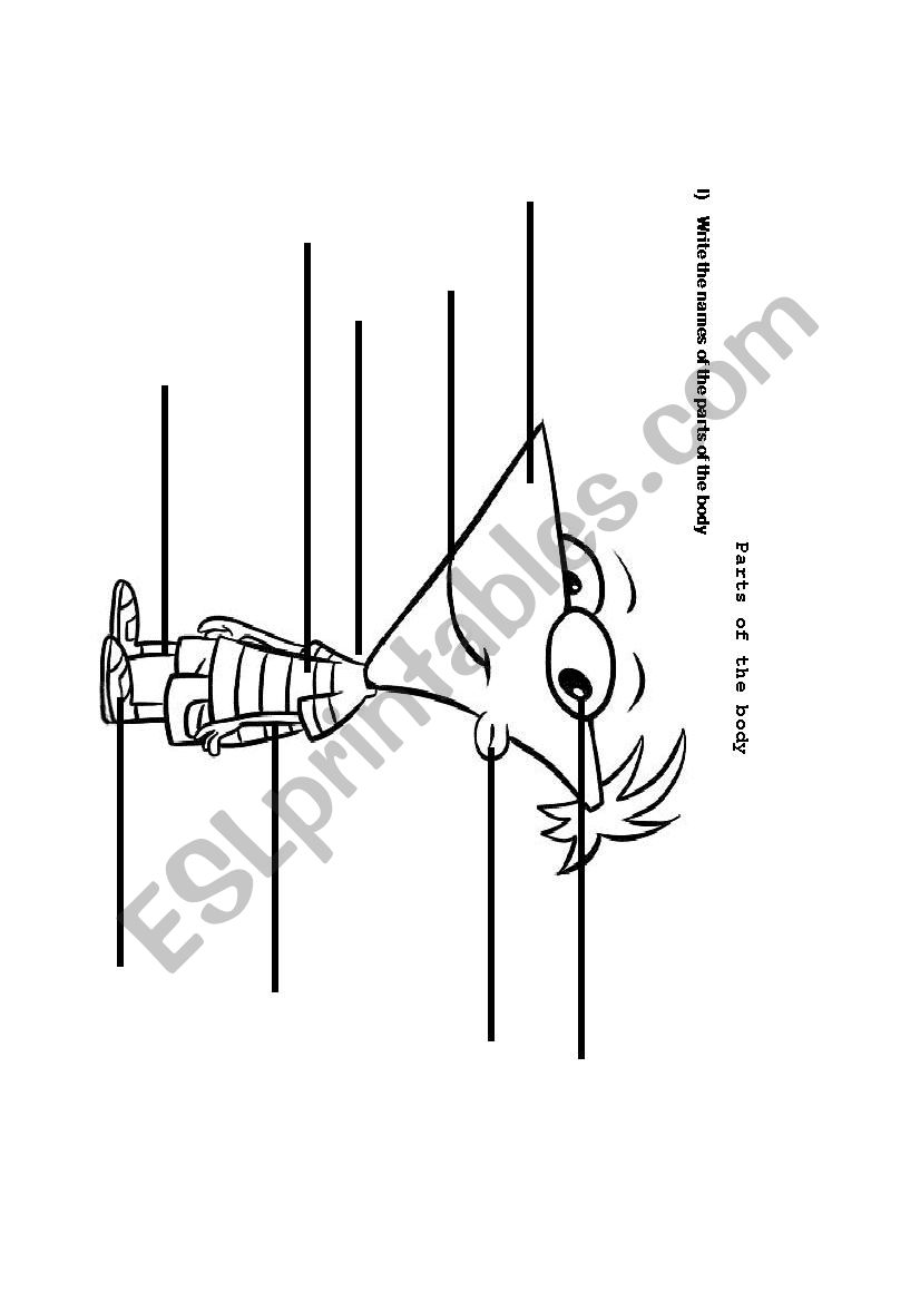 Parts of the body phineas worksheet