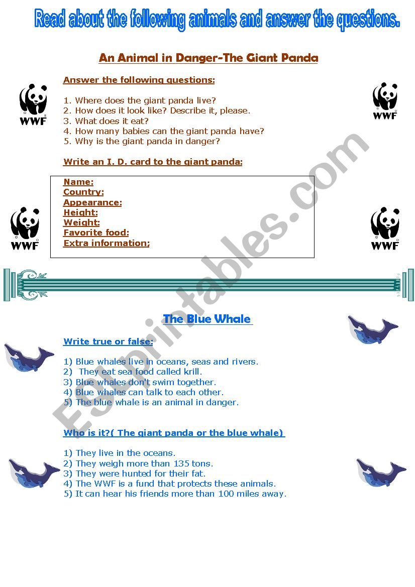 The giand Panda and the Blue Whale
