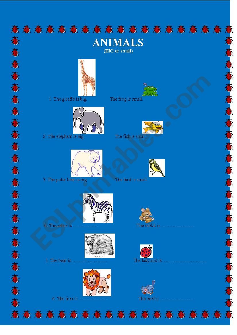 Animals worksheet