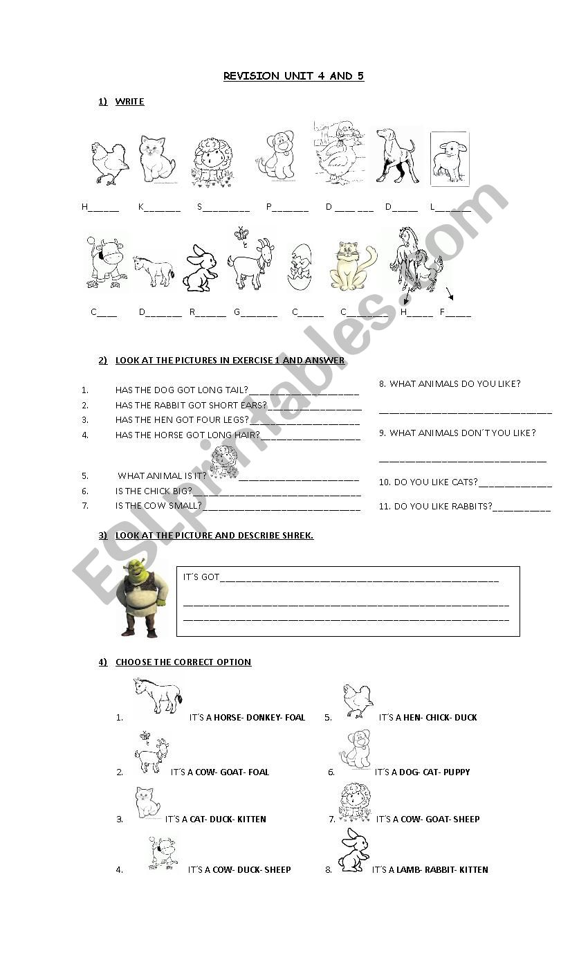 animals worksheet