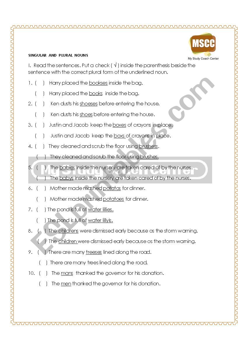 SINGULAR AND PLURAL NOUNS worksheet