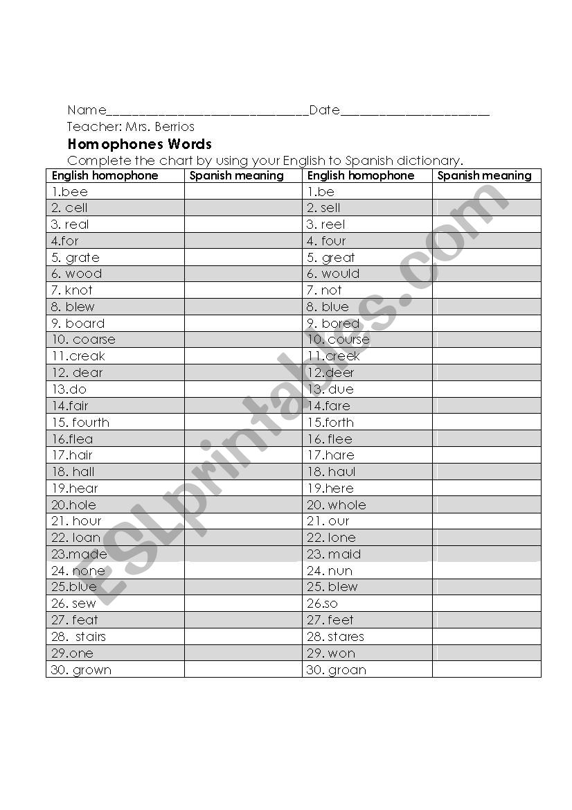 Homophones Words  worksheet